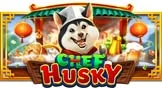 CHEF HUSKY